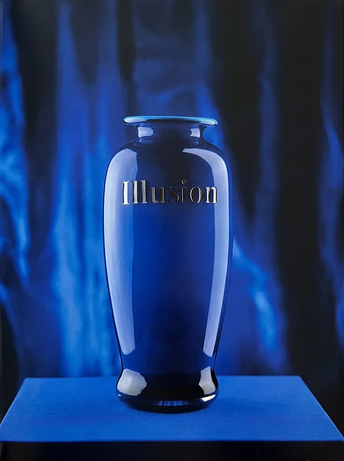 Etched glass vase from Flight and Illusion by Trish Duggan