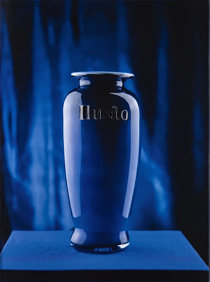 Etched glass vase from Flight and Illusion by Trish Duggan