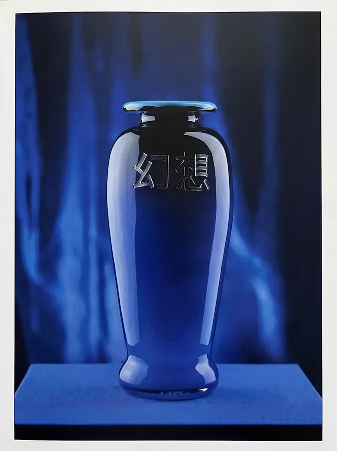 Etched glass vase from Flight and Illusion by Trish Duggan