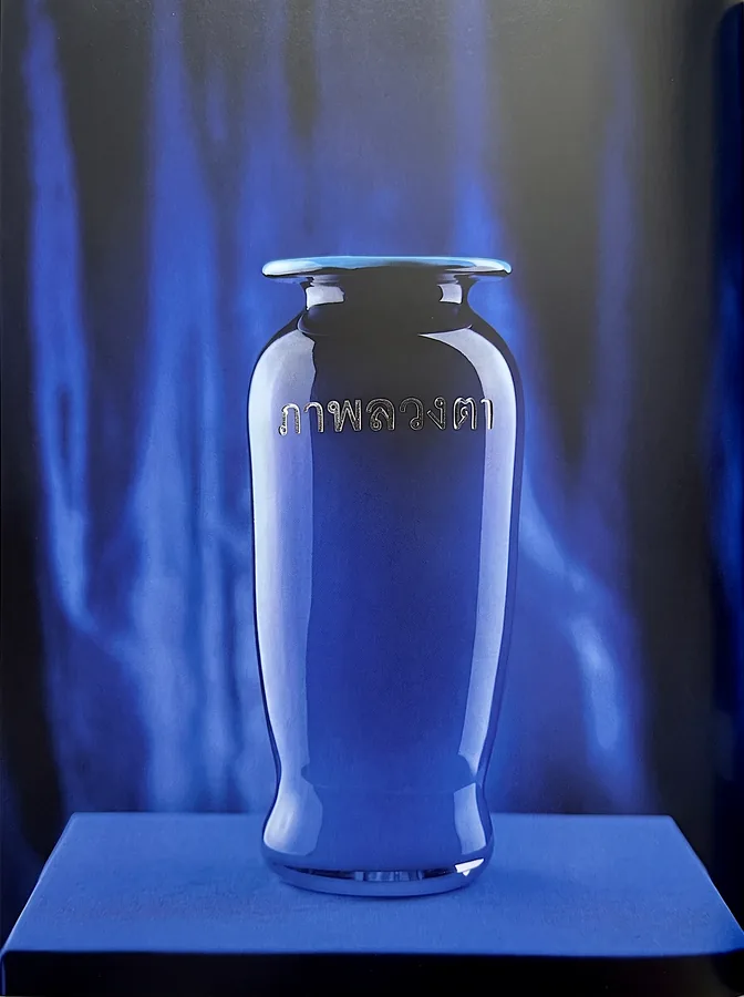 Etched glass vase from Flight and Illusion by Trish Duggan